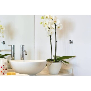 Grecotel Meli Palace