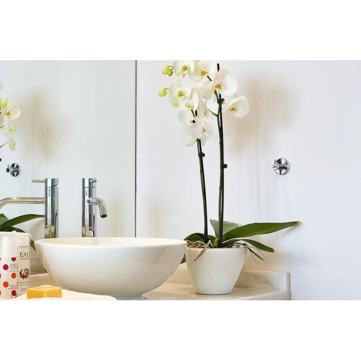 Grecotel Meli Palace