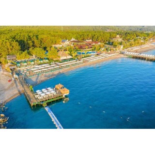 Gypsophila Club Marine