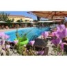 Hamburg - Lesbos - Malemi Organic Hotel