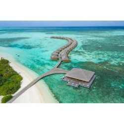 Hamburg - Lhaviyani Atoll - Cocoon Maldives - All Inclusive