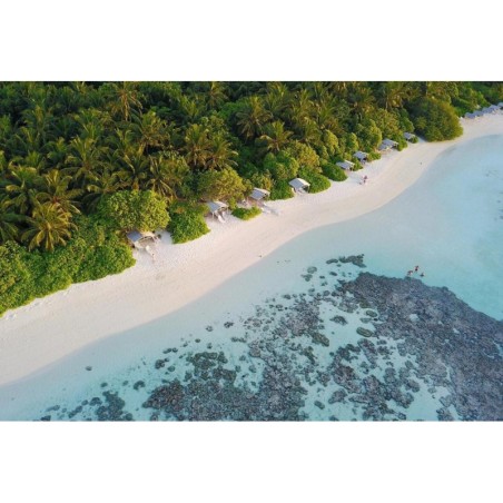 Hamburg - Vaavu Atoll - Plumeria Maldives