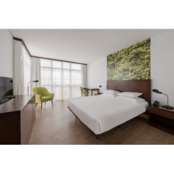 Hannover - Ponta Delgada, Azoren - Neat Hotel Avenida