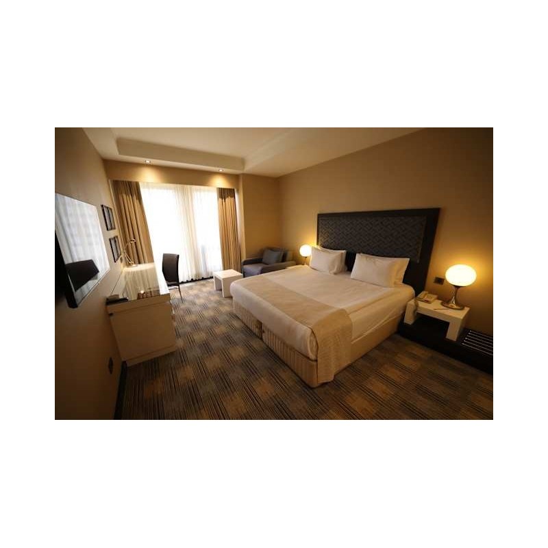Holiday Inn Istanbul Airport