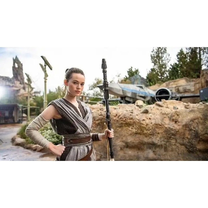 Holiday Inn Orlando-Disney Springs® Area