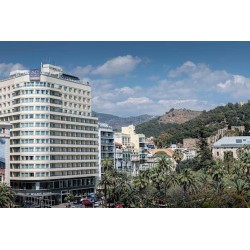 Hotel Ac Malaga Palacio