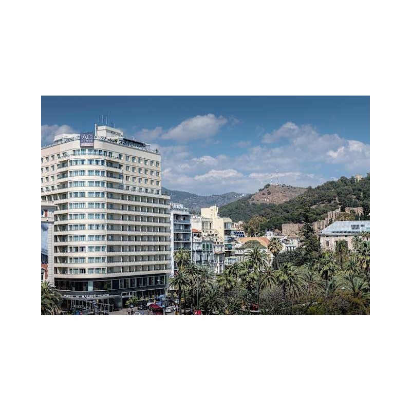 Hotel Ac Malaga Palacio