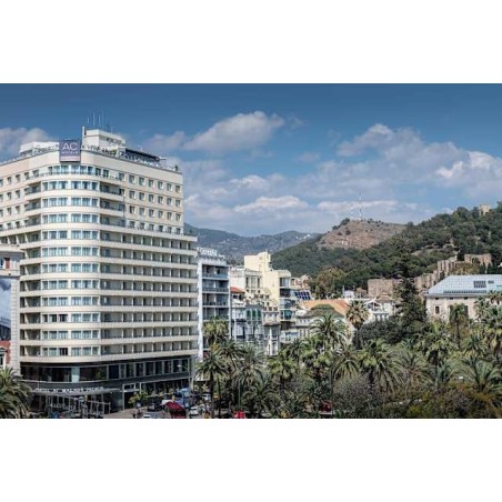 Hotel Ac Malaga Palacio