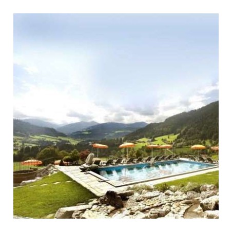 Hotel AlpenSchlössl