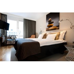 Hotel Birger Jarl