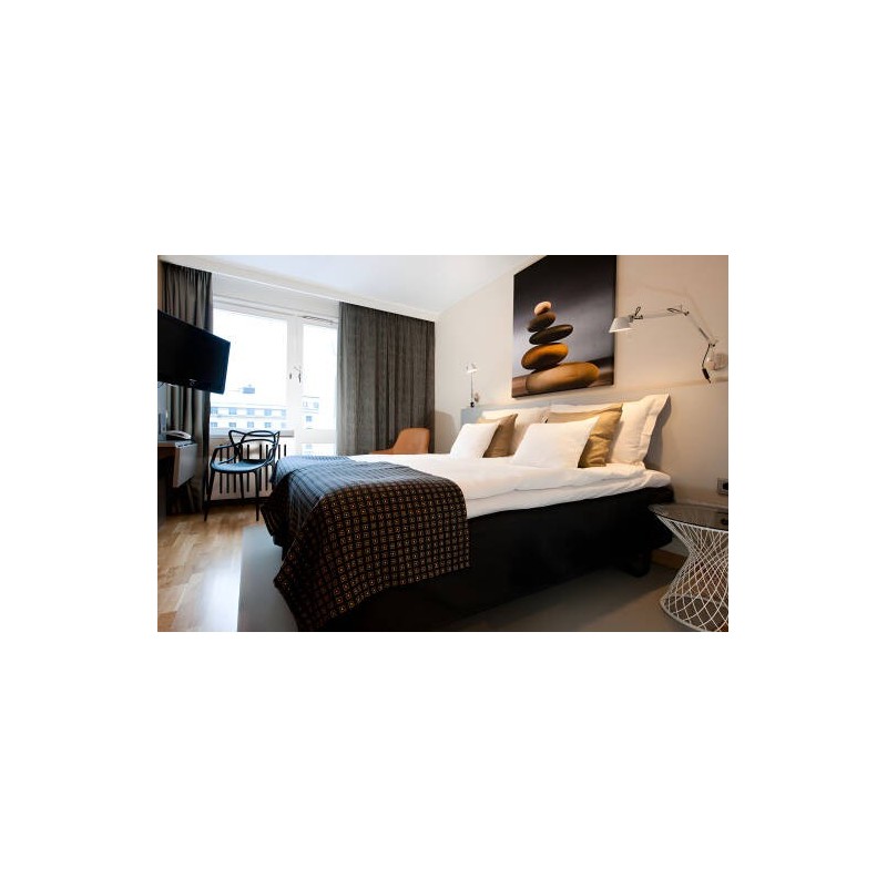 Hotel Birger Jarl
