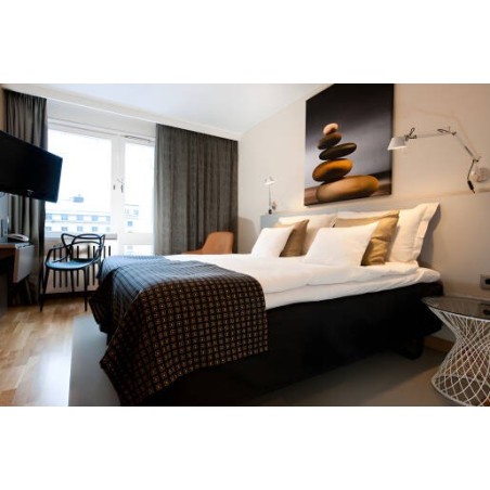 Hotel Birger Jarl