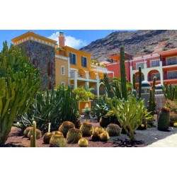 Hotel Cordial Mogán Playa
