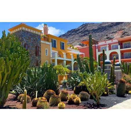 Hotel Cordial Mogán Playa