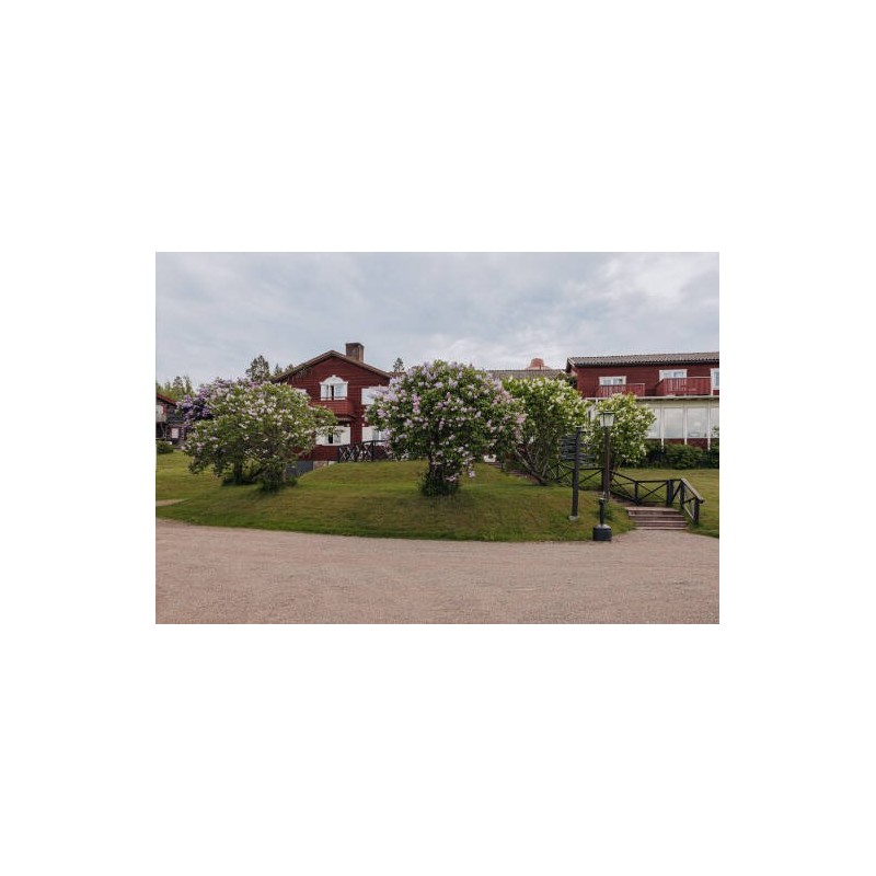 Hotel Gyllene Hornet
