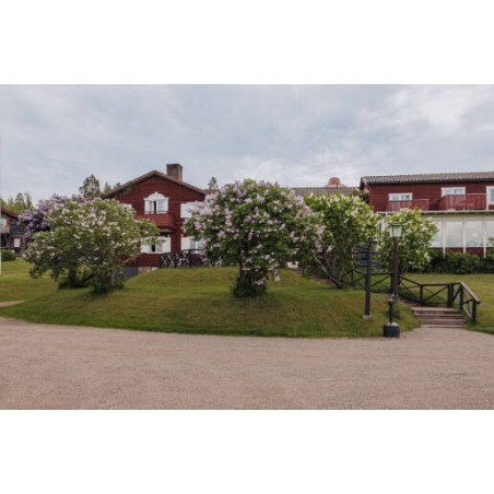 Hotel Gyllene Hornet