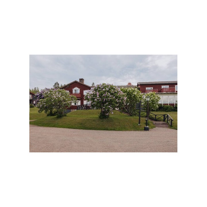 Hotel Gyllene Hornet