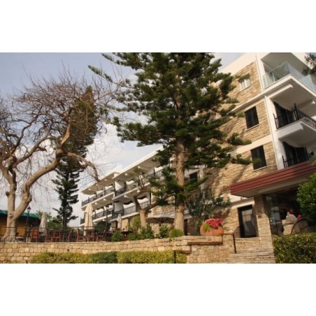 Hotel Dionysos