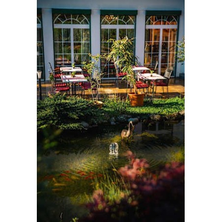 Hotel Kohlerhof