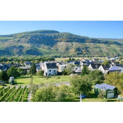 Hotel Moselblick