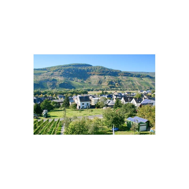 Hotel Moselblick