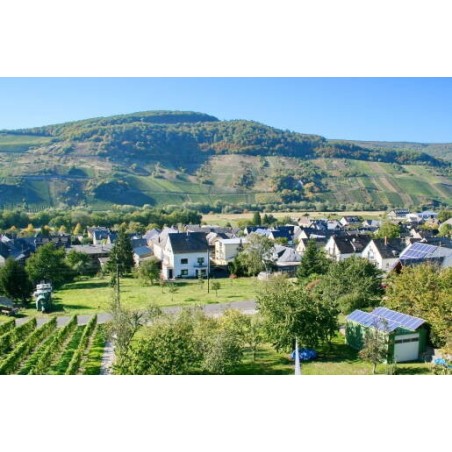 Hotel Moselblick