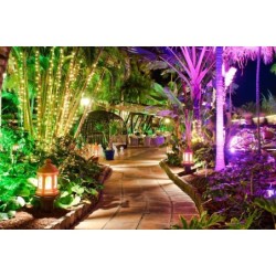 Hotel Parque Tropical