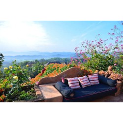 Hotel Phu Chaisai Mountain Resort & Spa