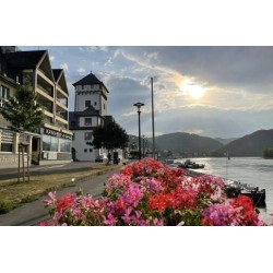 Hotel Rheinlust