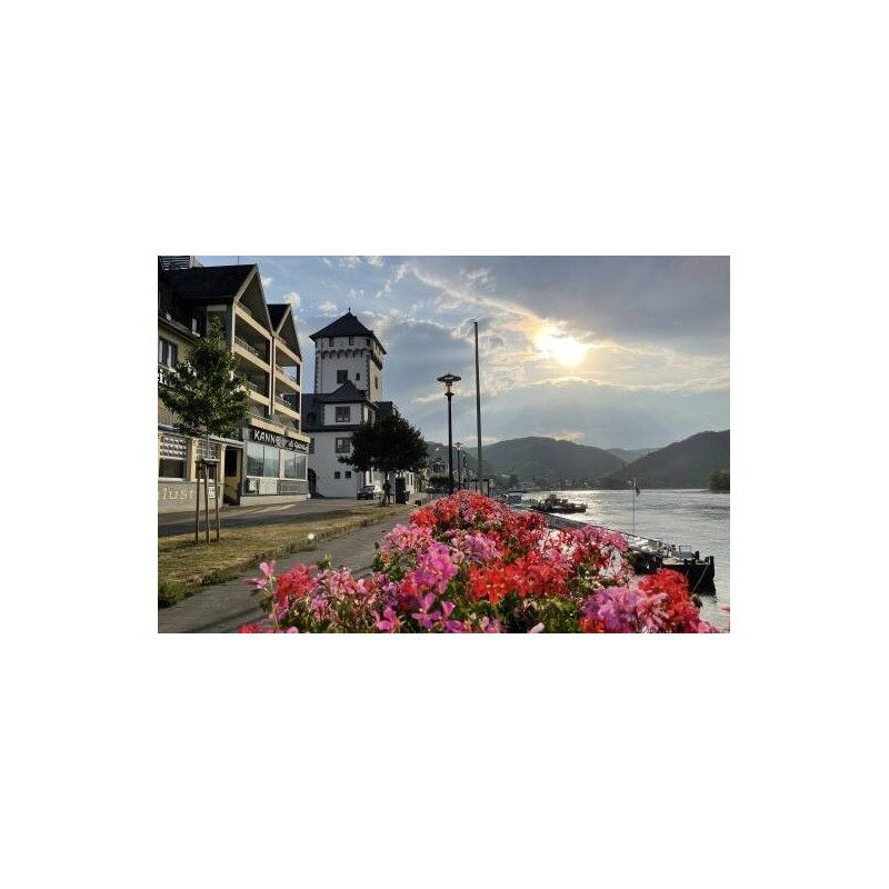 Hotel Rheinlust