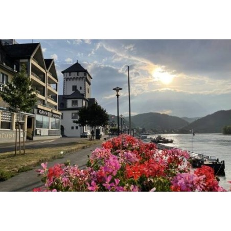 Hotel Rheinlust