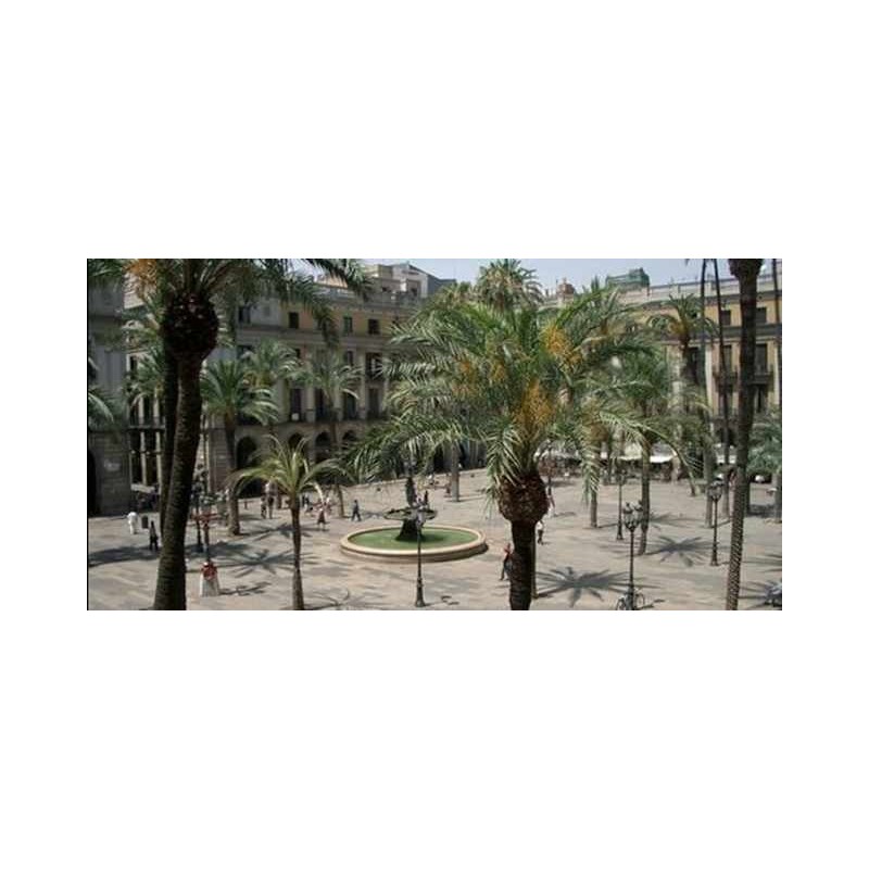 Hotel Roma Reial