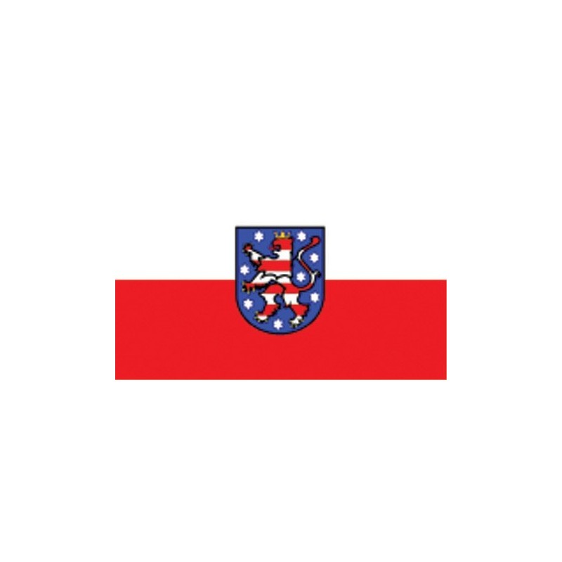 Flagge Thüringen 90 x 150