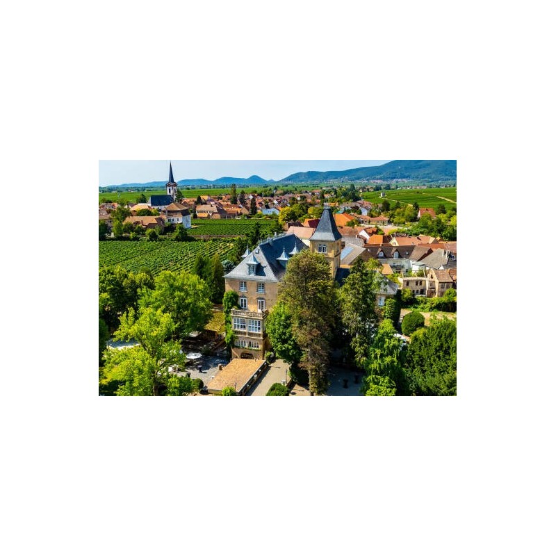 Hotel Schloss Edesheim