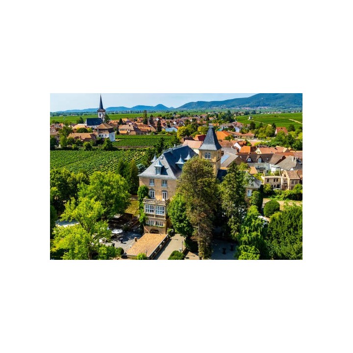 Hotel Schloss Edesheim