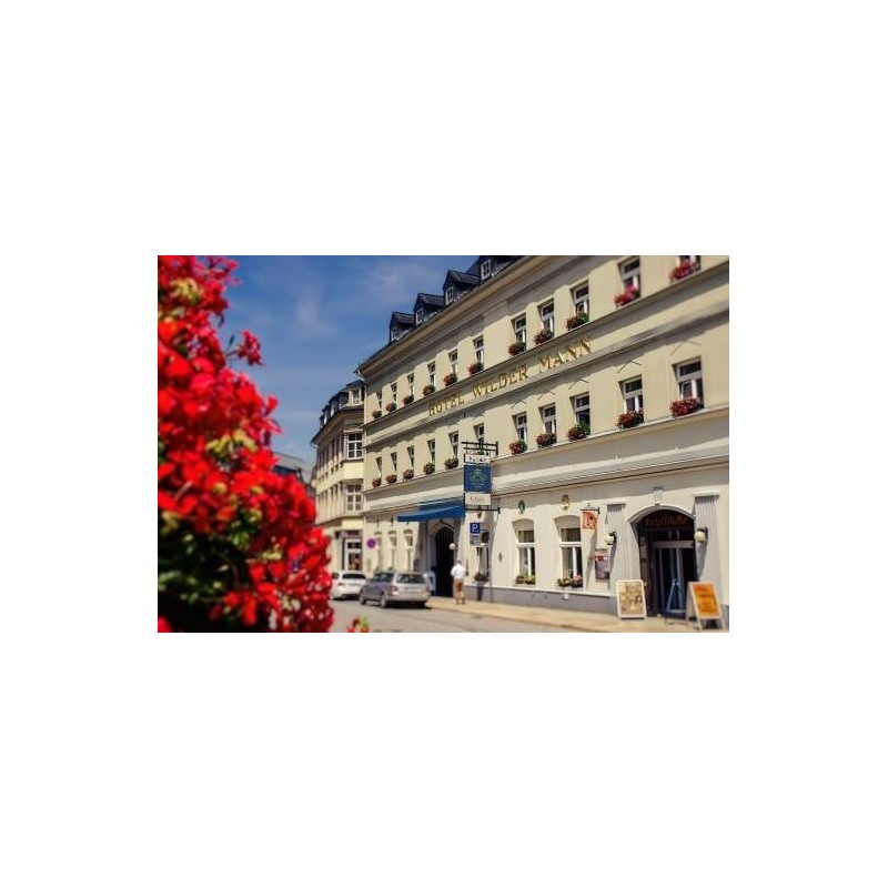 Hotel Wilder Mann