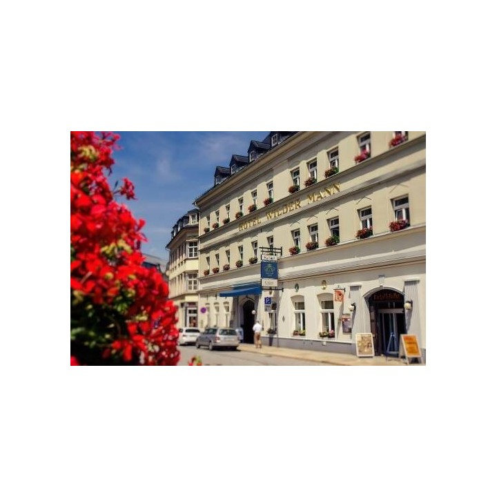 Hotel Wilder Mann