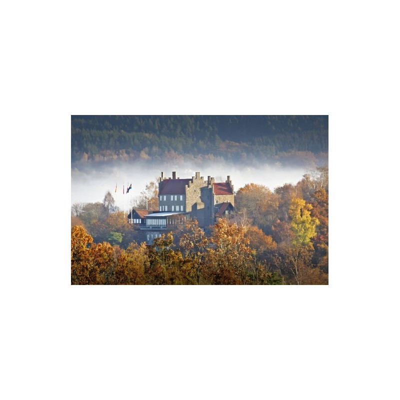 Hotell Gyllene Uttern