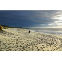 Hotell Jæren