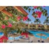 Palm Beach Resort