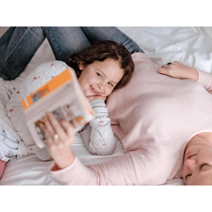 ibis Genève Centre Lac