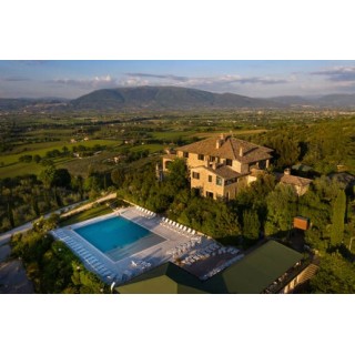 Il Poggio degli Olivi