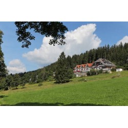 JUFA Hotel Schwarzwald