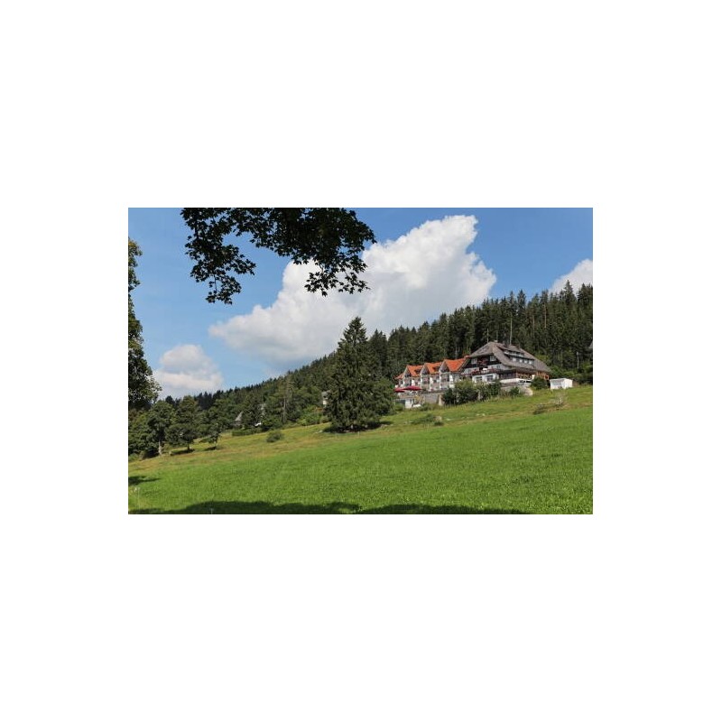 JUFA Hotel Schwarzwald