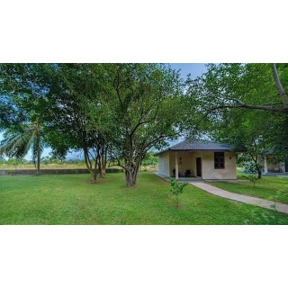 Kassapa Lions Rock Resort