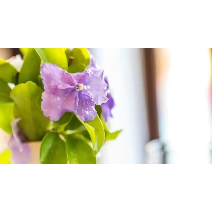 Kingfisher GuestHouse