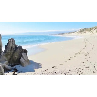 Kleinzee Oceanfront Guesthouse