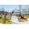 Köln Bonn - Alcudia - Apartamentos Habitat