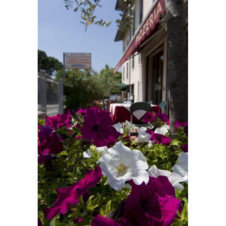 Köln Bonn - Castelnuovo del Garda - Hotel Scaligero