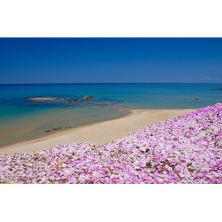 Köln Bonn - Castelsardo - Hotel Residence Ampurias